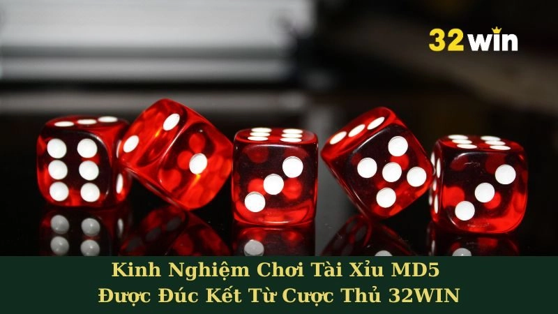Kinh Nghiệm Chơi Tài Xỉu MD5 Được Đúc Kết Từ Cược Thủ 32WIN