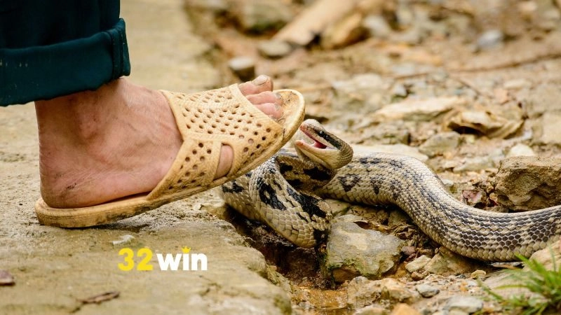 Mơ thấy rắn cắn chân