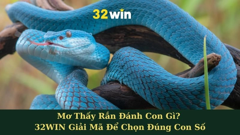 Mơ Thấy Rắn Đánh Con Gì? 32WIN Giải Mã Để Chọn Đúng Con Số